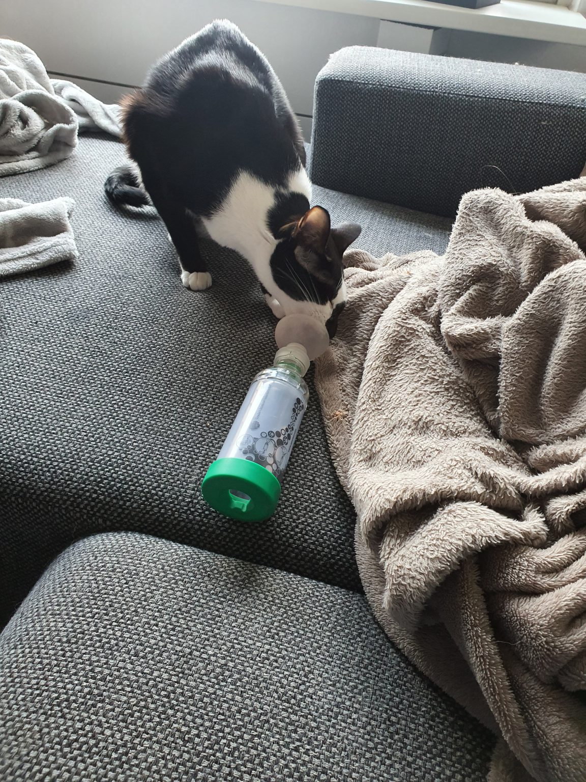 vpfgdkr-7455871803031060017_20211224_134734-1152x1536