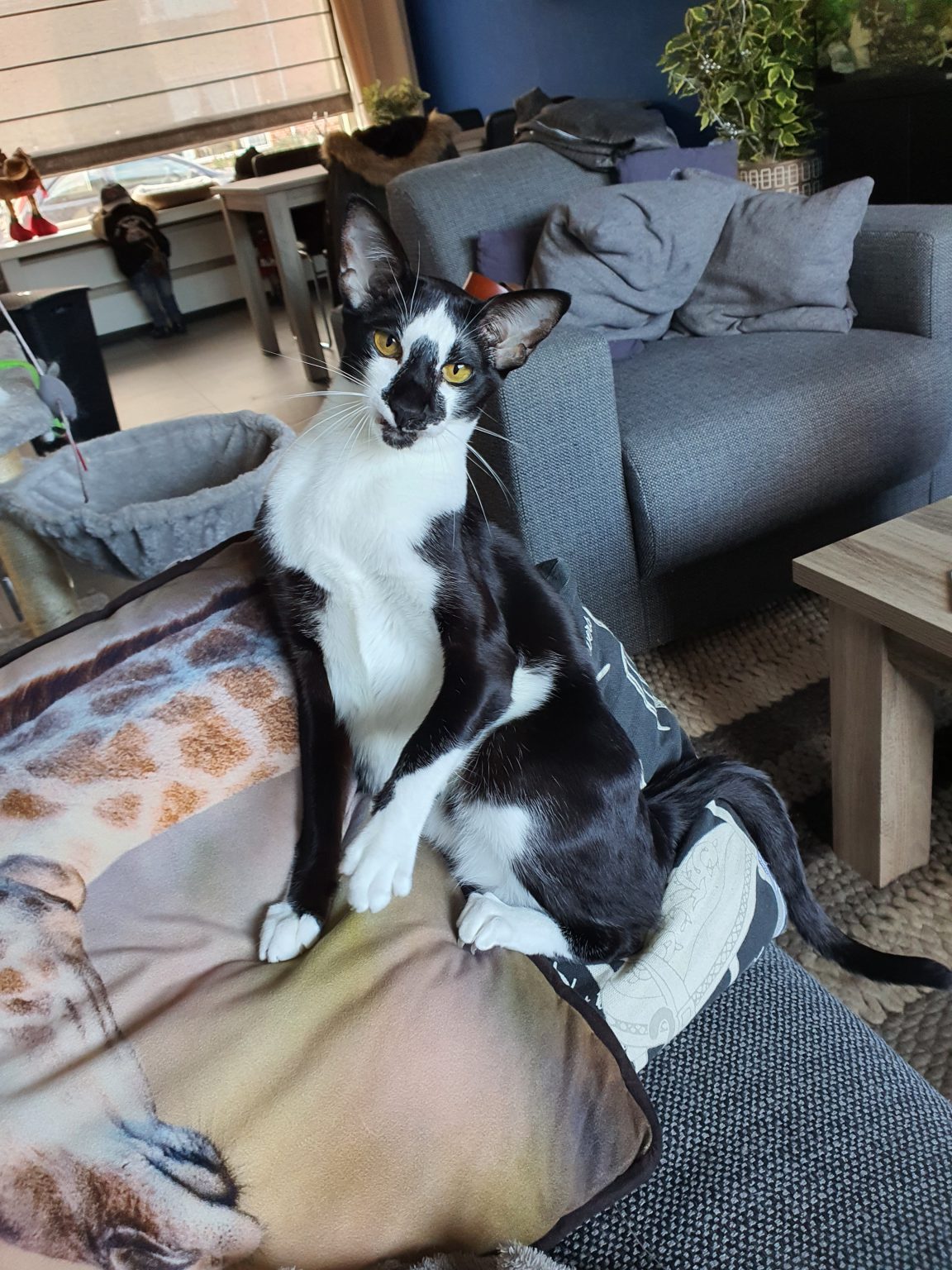 vpfgdkr-7455871803031060017_20211225_134911-1152x1536