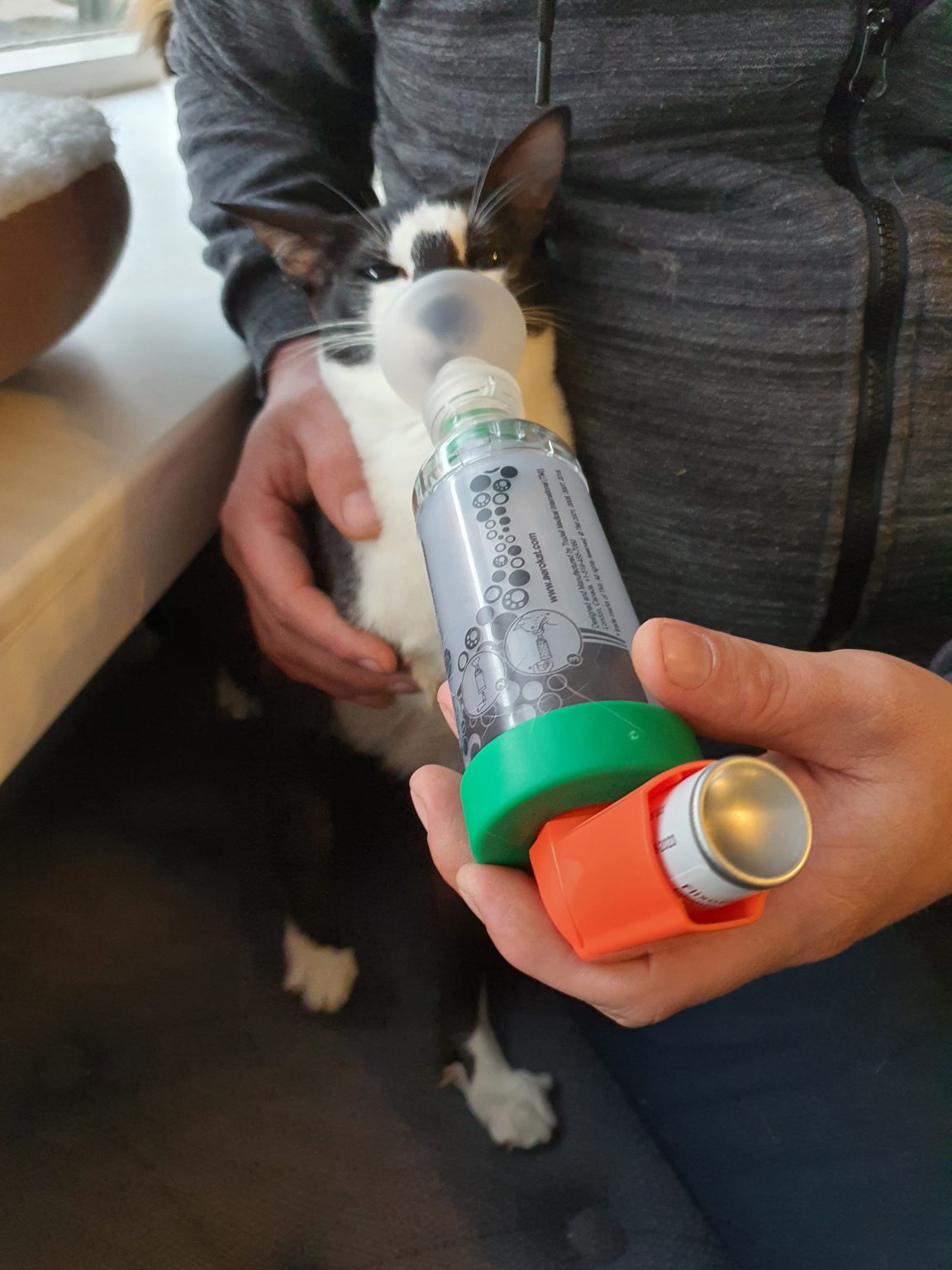 vpfgdkr-7455871803031060017_20220128_165137groo-1152x1536