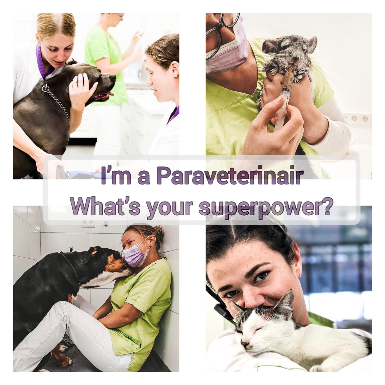 DB79DF51-2942-4BA5-9A82-F4419B7F5938-1536x1536