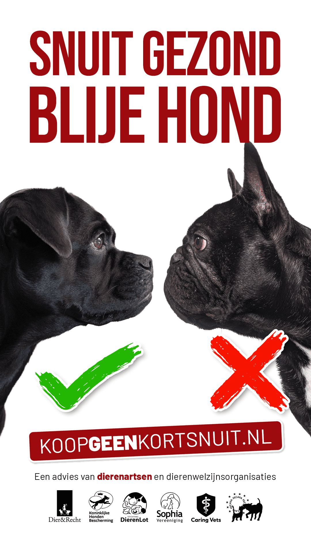 kgk2024_poster02_fransebulldog_def-1200x2133