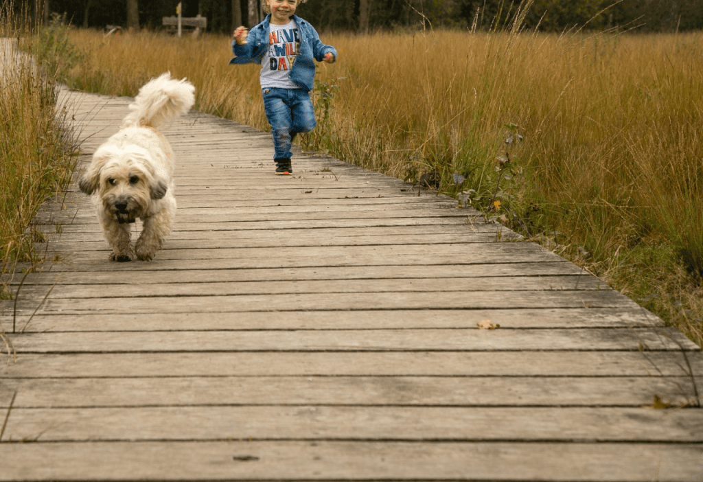 Wuiles-en-Luuk-1024x702