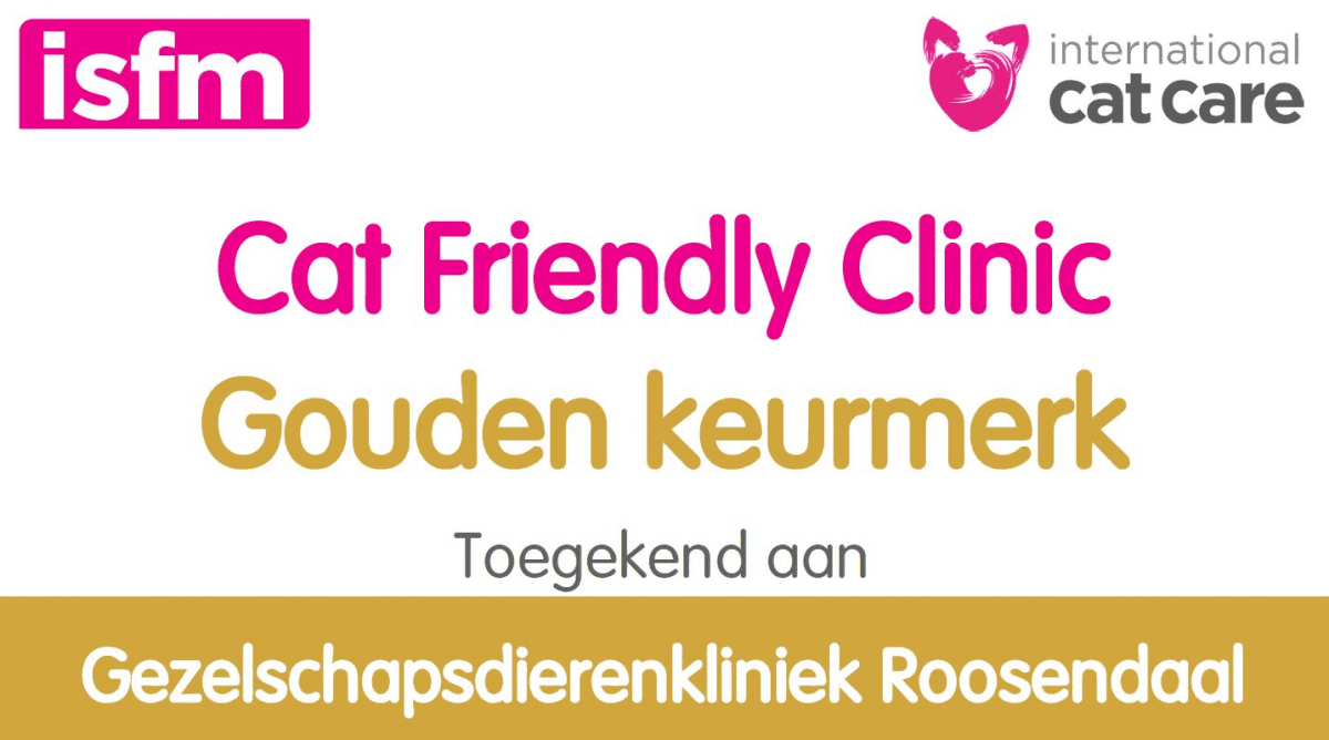 catfriendly-persoonlijk-1200x668
