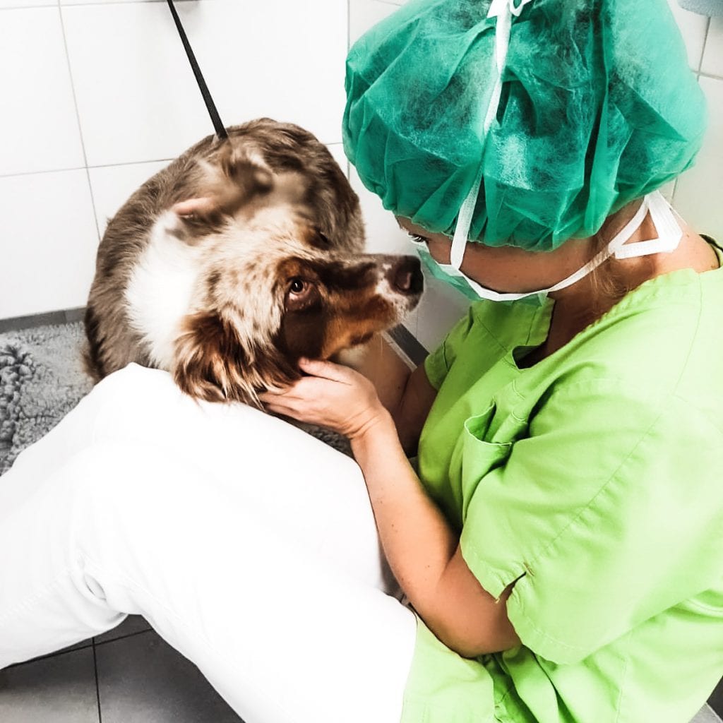 opname-beter-1024x1024