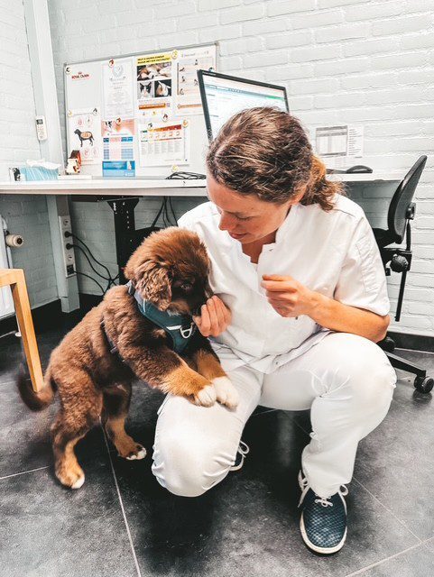 thumbnail_IMG_1185-1024x1024