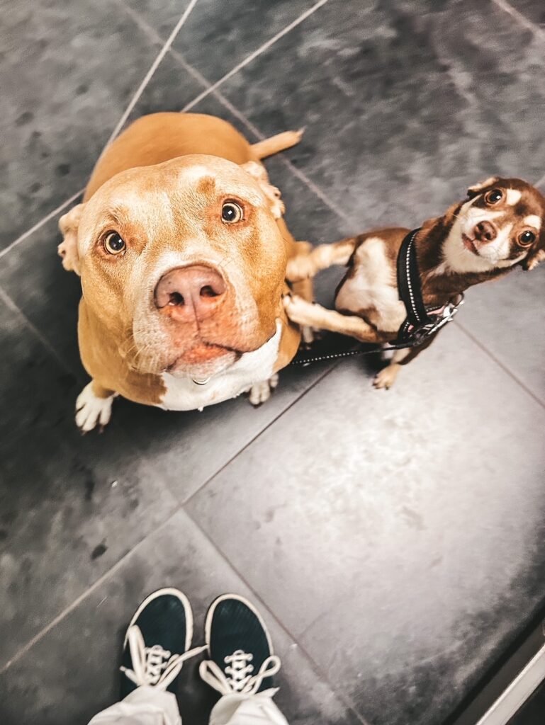 thumbnail_IMG_5892-769x1024